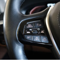 cruise control adaptief met Stop&Go en stuurhulp
