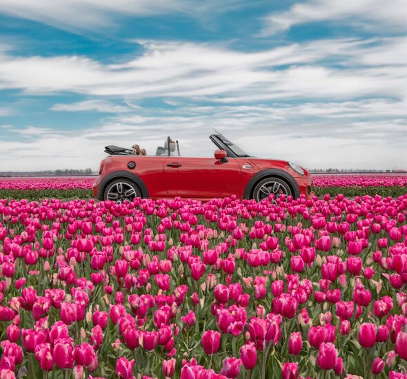 MINI-Cabrio-Rood-Tulpenveld-Header-Mobile-Ekris