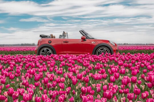 MINI-Cabrio-Rood-Tulpenveld-Header-Mobile-Ekris