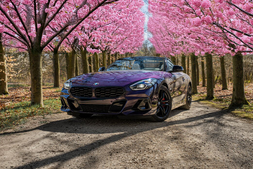 BMW-Voorraad-EEE