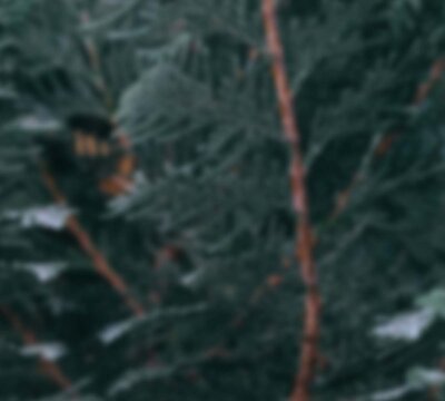 Countryman_Achtergrond_1920x1080