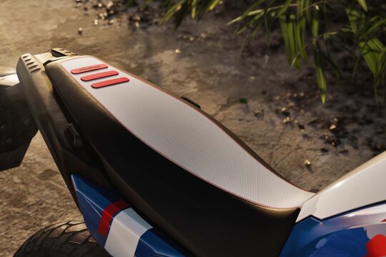 BMW_F450_GS_Buddyseat_Ekris